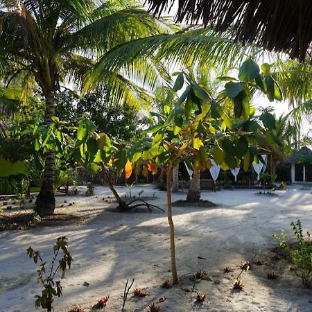 Bed and Breakfast Dreams Of Mapacha Michamvi Exterior foto