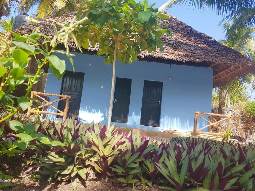Bed and Breakfast Dreams Of Mapacha Michamvi Exterior foto