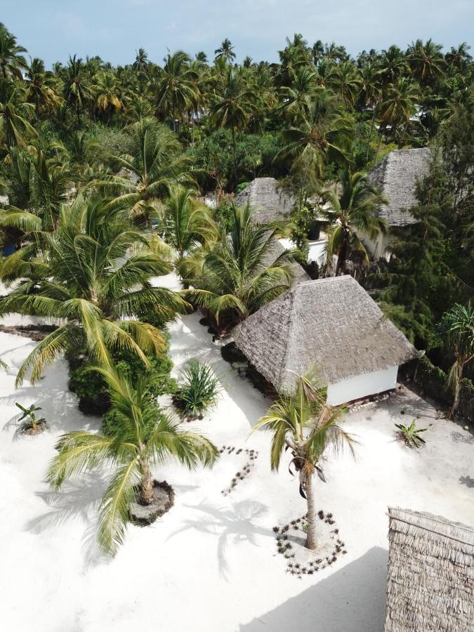 Bed and Breakfast Dreams Of Mapacha Michamvi Exterior foto