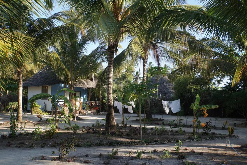 Bed and Breakfast Dreams Of Mapacha Michamvi Exterior foto