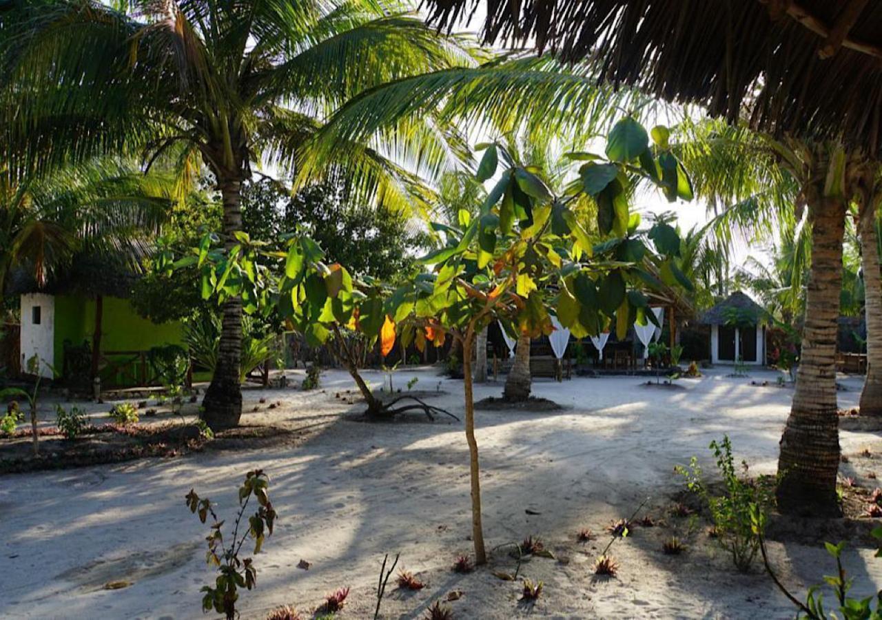 Bed and Breakfast Dreams Of Mapacha Michamvi Exterior foto
