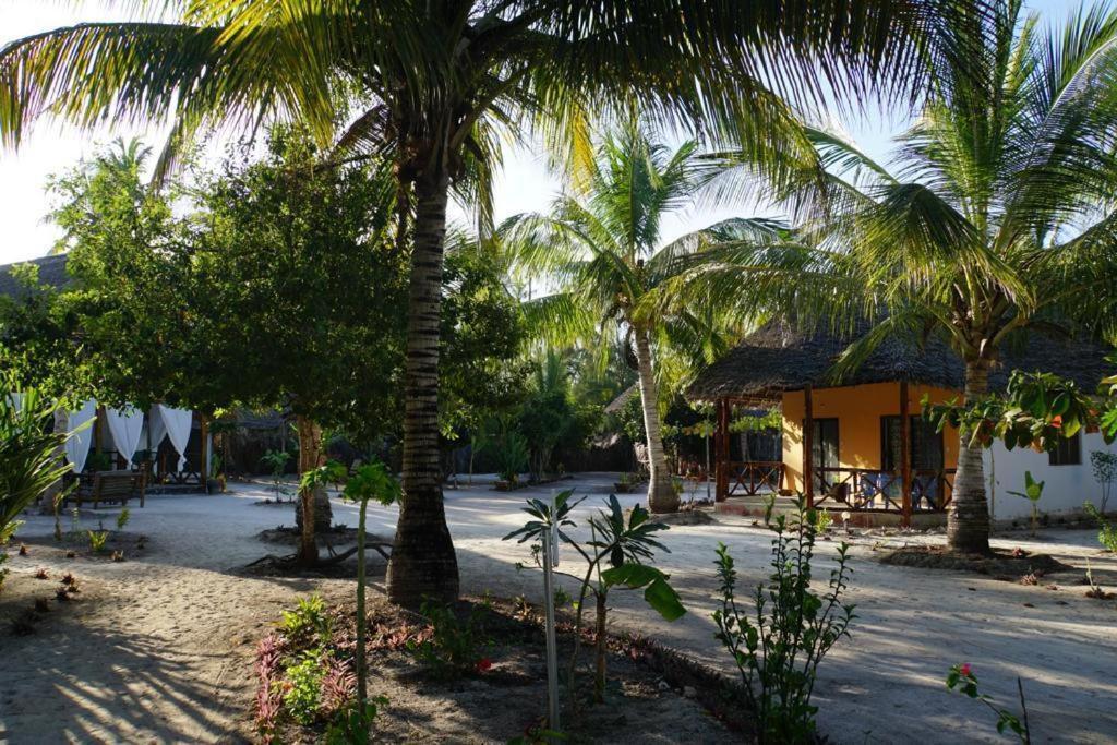 Bed and Breakfast Dreams Of Mapacha Michamvi Exterior foto