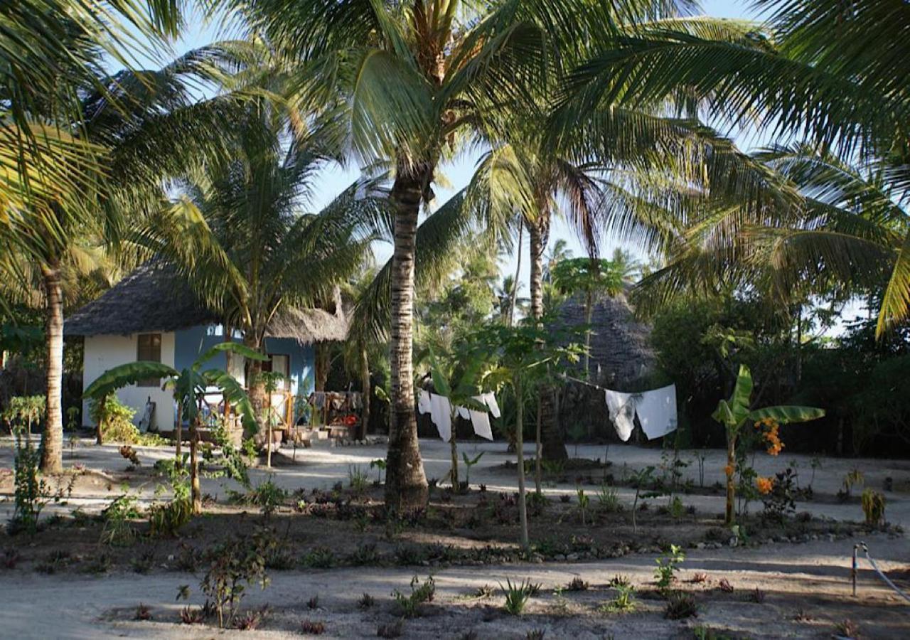 Bed and Breakfast Dreams Of Mapacha Michamvi Exterior foto