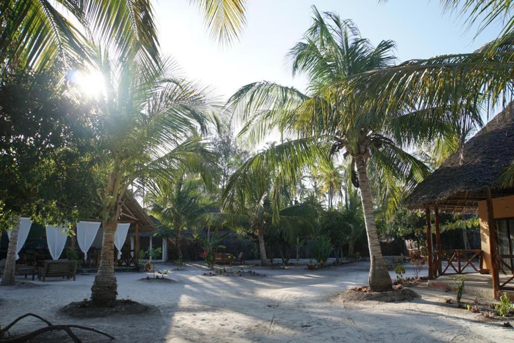Bed and Breakfast Dreams Of Mapacha Michamvi Exterior foto
