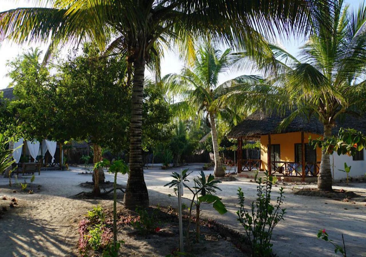 Bed and Breakfast Dreams Of Mapacha Michamvi Exterior foto