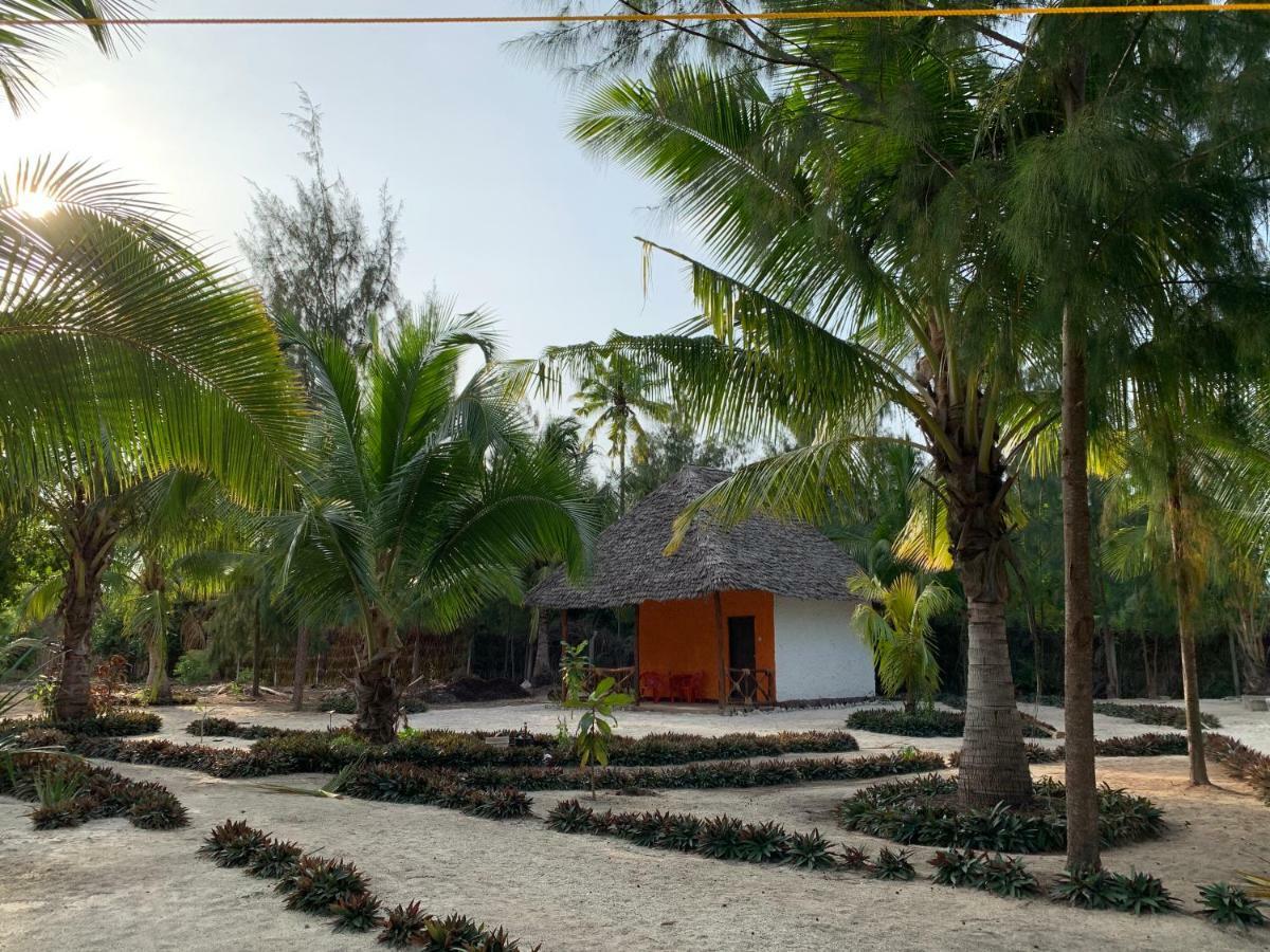 Bed and Breakfast Dreams Of Mapacha Michamvi Exterior foto